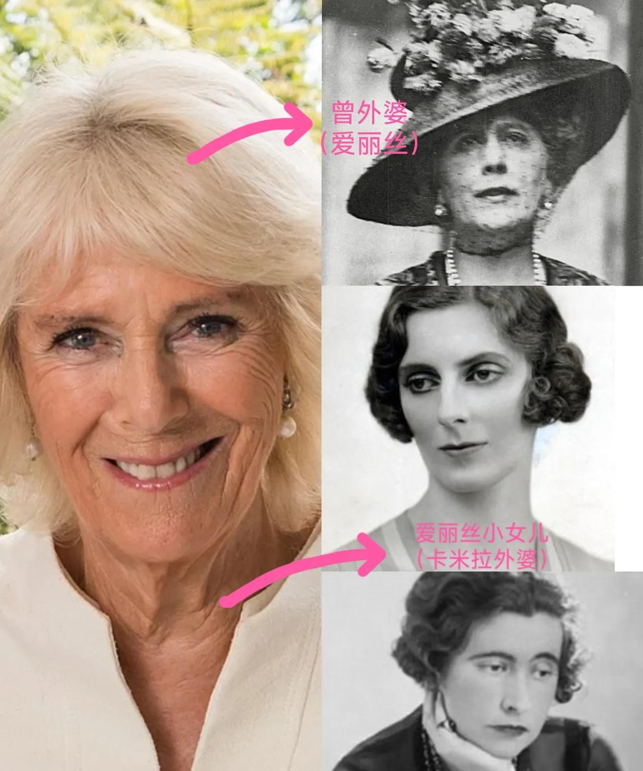 卡米拉的曾外婆爱丽丝本来也是公爵的女儿，爱丽丝去世时，曾外孙女卡米拉还不到两个月