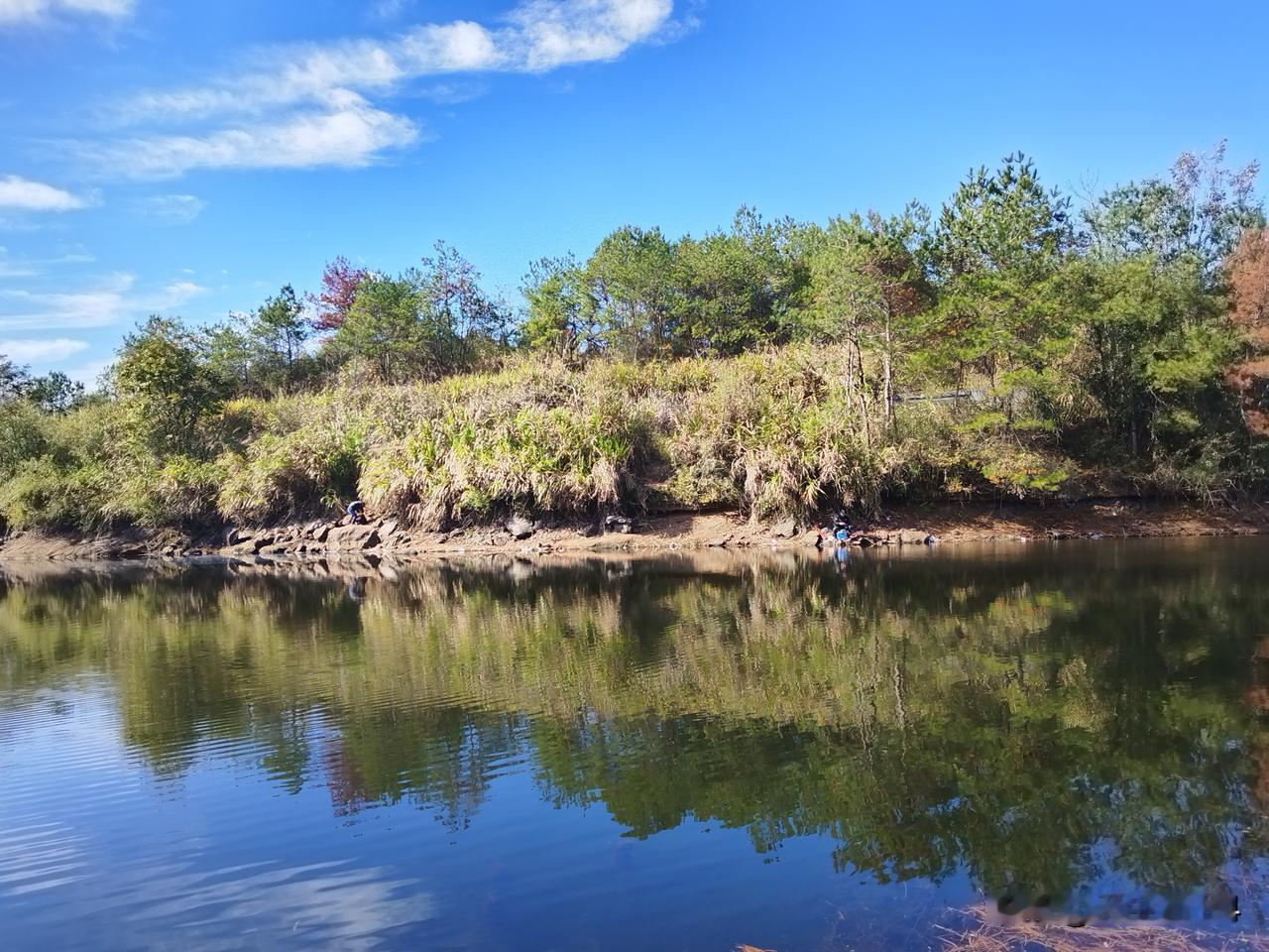 胃癌手术第三年是关键期！今天看了一条有关胃癌的资料，说是胃癌术后检查，第三年很