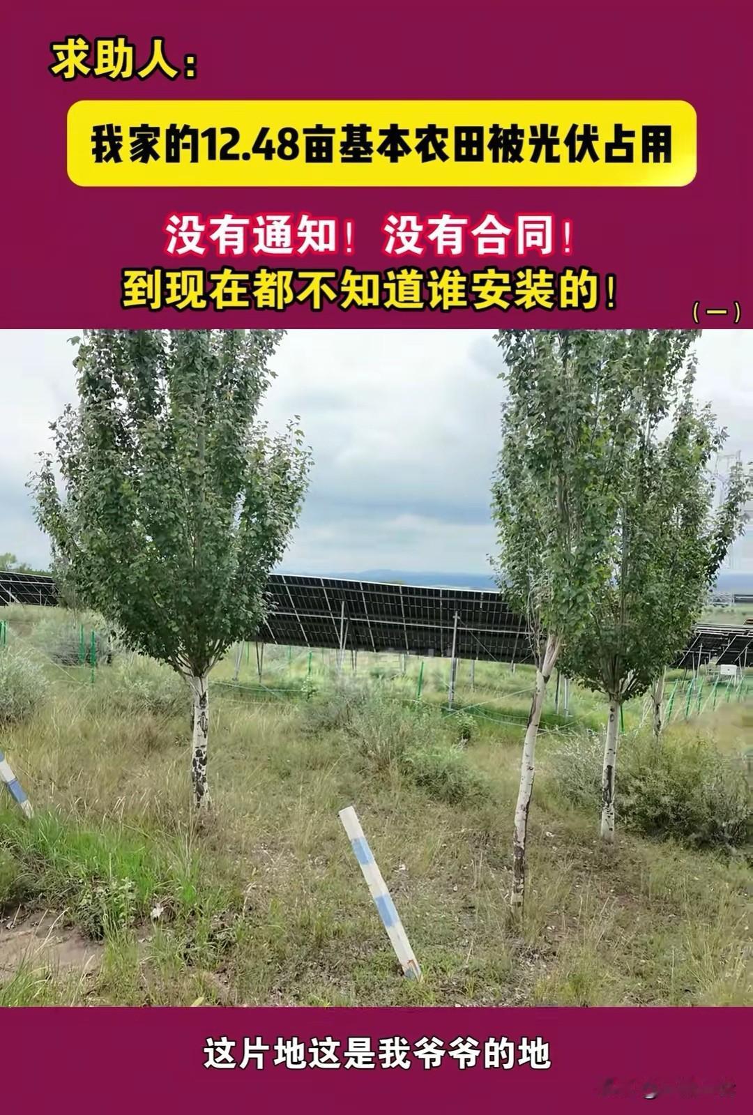 山西大同，男子家的12.48亩基本农田，被光伏占用了，他却没有收到任何通知，更没