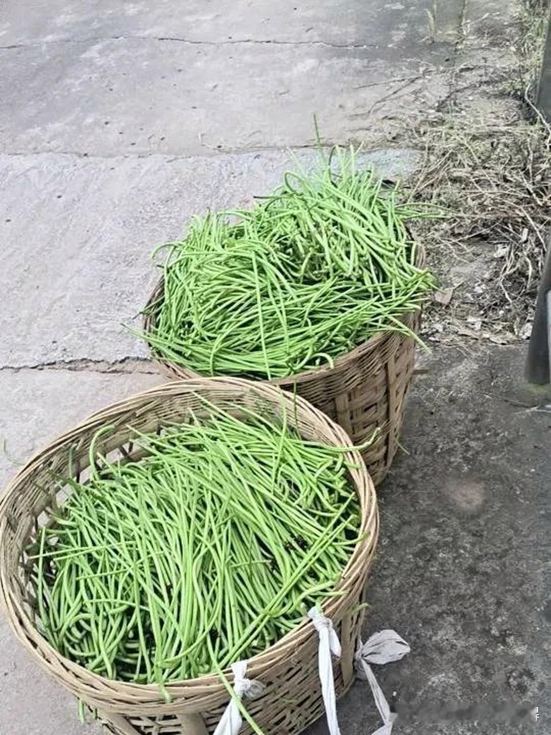 以前猪吃的，现在猪不吃，人吃了。