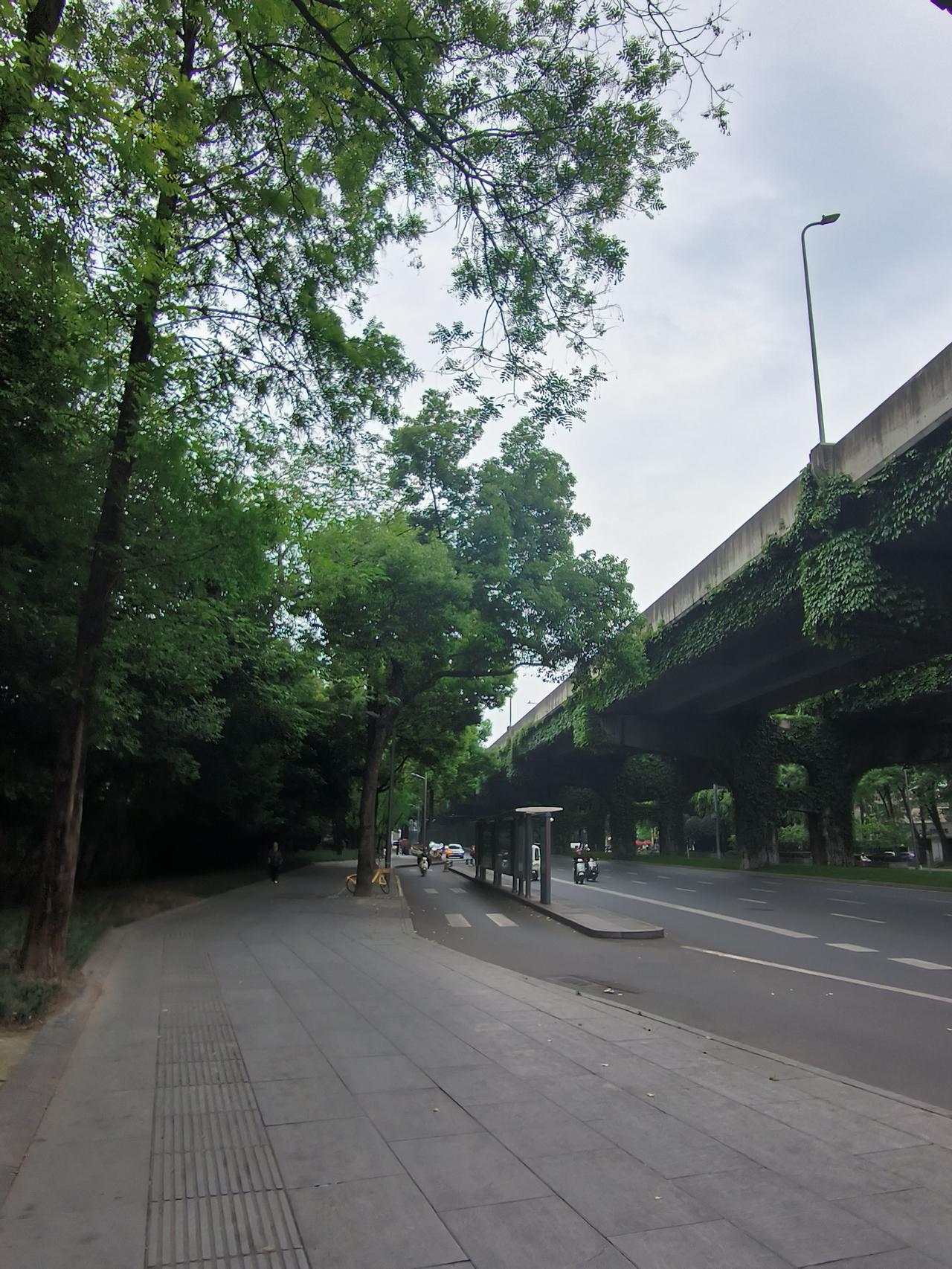 终于明白为什么现在这么多的男士一直打光棍了住我楼上的小李，已经36岁了，还是