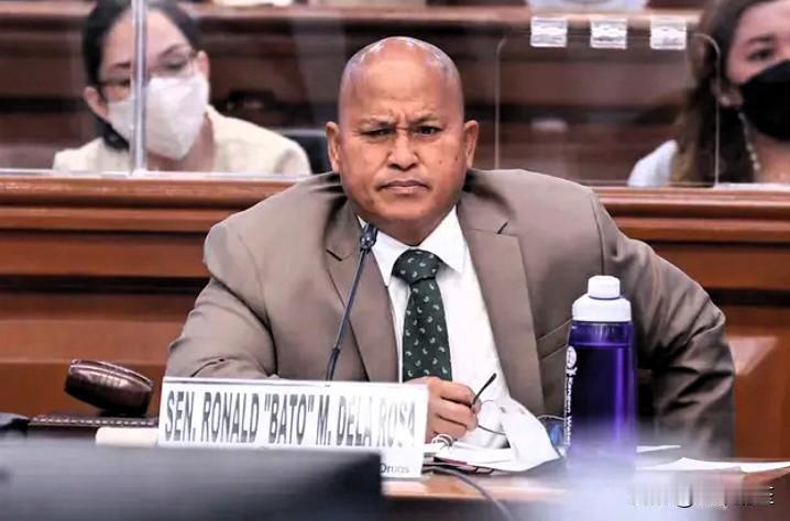 菲律宾参议员德拉罗萨已请求菲律宾最高法院针对国际刑事法院对他发出的所谓逮捕令的执