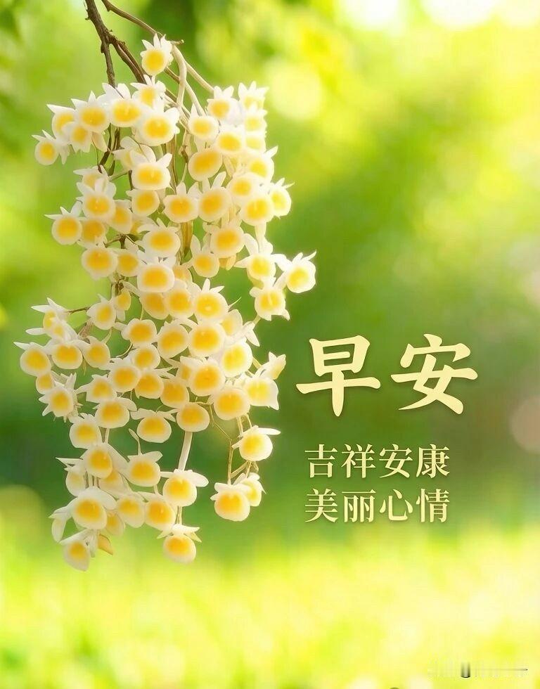 🍎²⁰²⁶/₀₄.₀₆🧨ᵕ̈🐎🍃🌻🍒🍡🍃𝐌𝐨𝐫𝐧𝐢