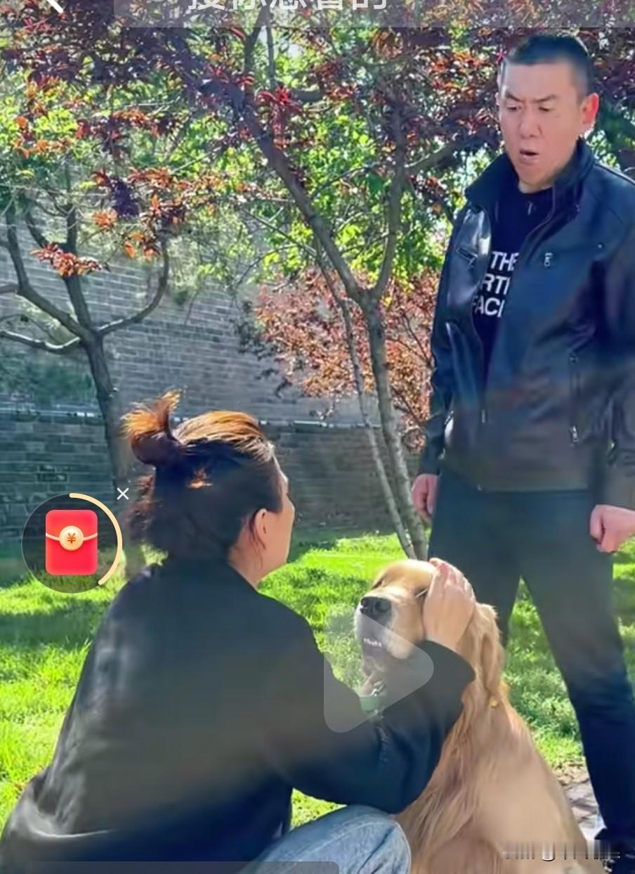 金毛换毛经常掉在地上，沙发上到是毛，主人很是生气，埋怨，脑火。于是把金毛送给朋友