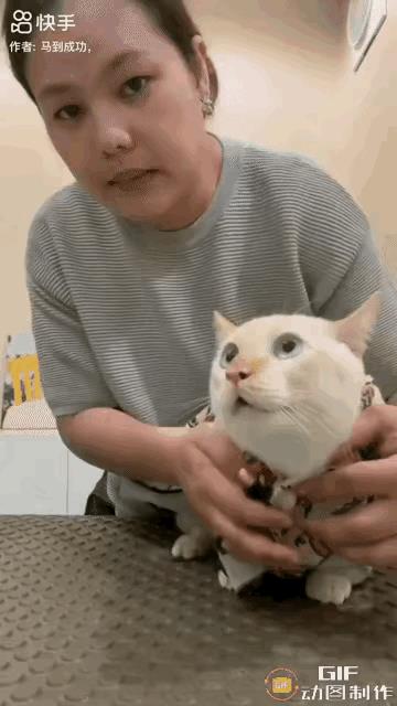 主人这样还不生气？视频中这只小猫趁着主人把它放下的间隙，回头狠狠咬了很大一口！