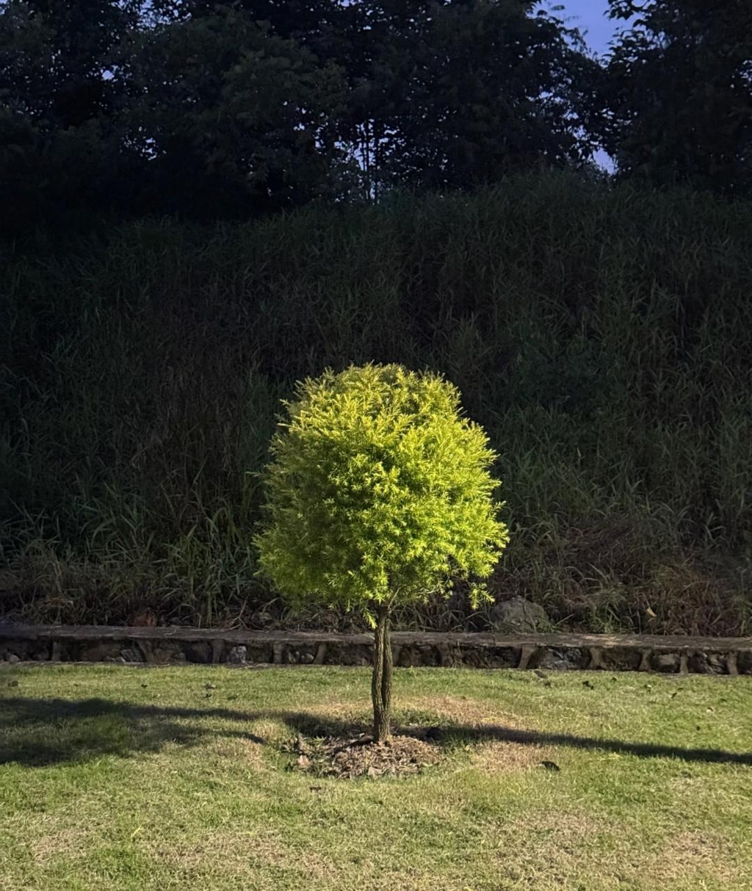 能刷到这些文字的父母，孩子都不简单，定时人中龙凤!其实世上所有的相遇，都有它