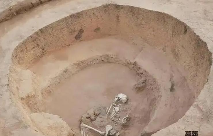 雨果曾说：人生是花，爱情便是花蜜。当浮土被轻轻拨开，两具交叠的骨骸逐渐显露男