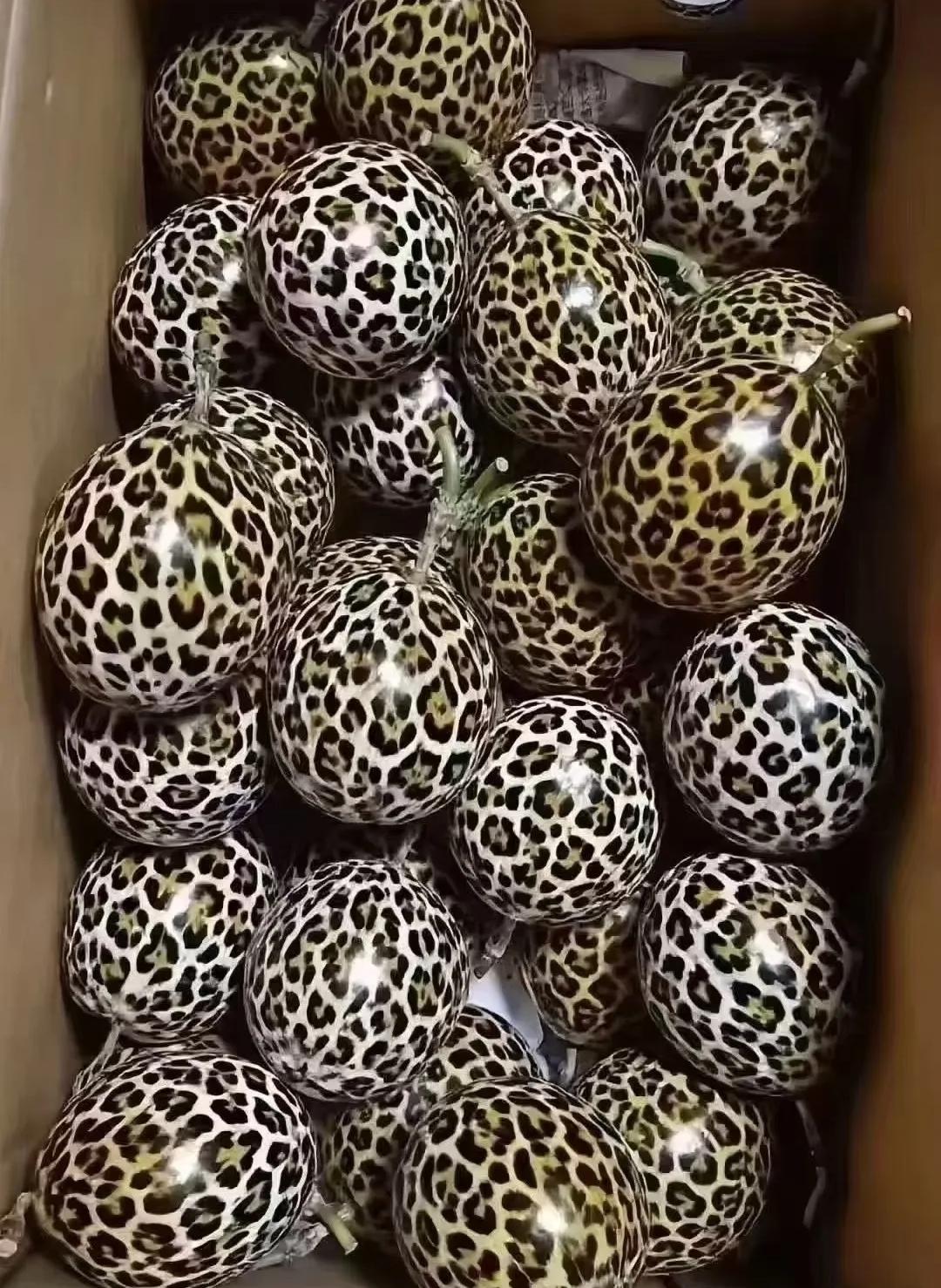 亲戚来串门带了一箱水果，我拆开差点认错，还以为是什么稀罕蛋，细看带着果柄，模样长