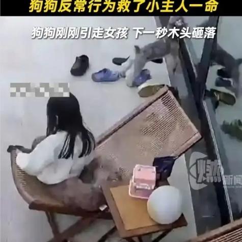 那天午后，小女孩正悠闲地坐在院子躺椅上玩手机，阳光温柔，一切平静得不像话。可家里