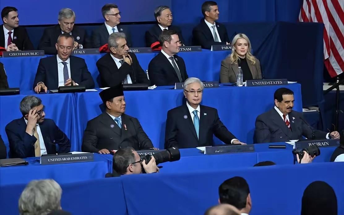 2月19日，在华盛顿举行的和平委员会首次会议上，1997年出生的白宫新闻发言人莱