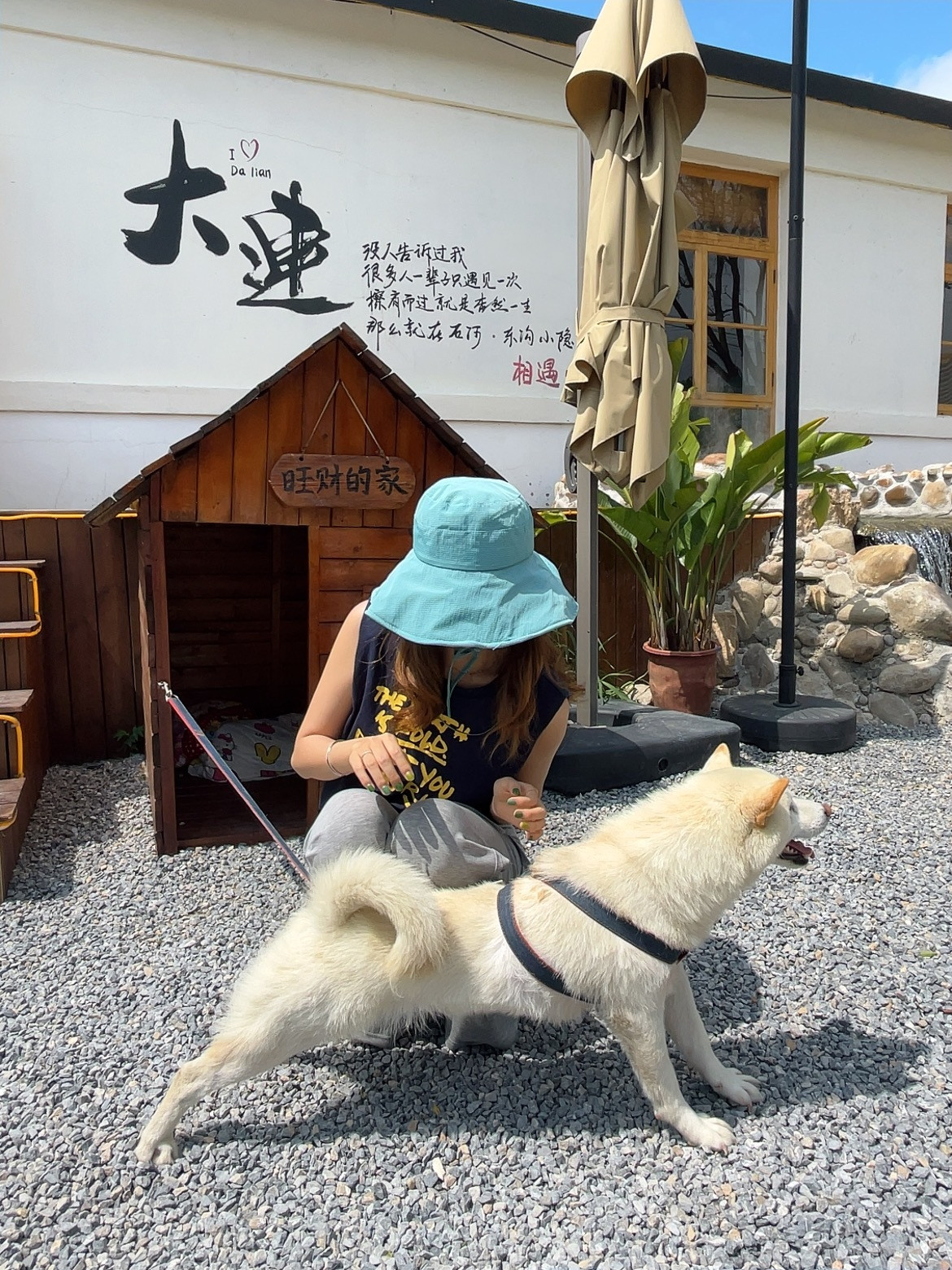 今日进行了一番家庭露营