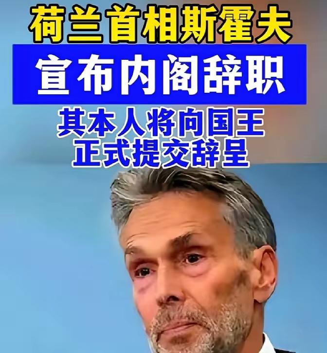 荷兰求放过，首相辞职，整套班子也辞职，向中国示好，然后主动放出消息，要归还安世半