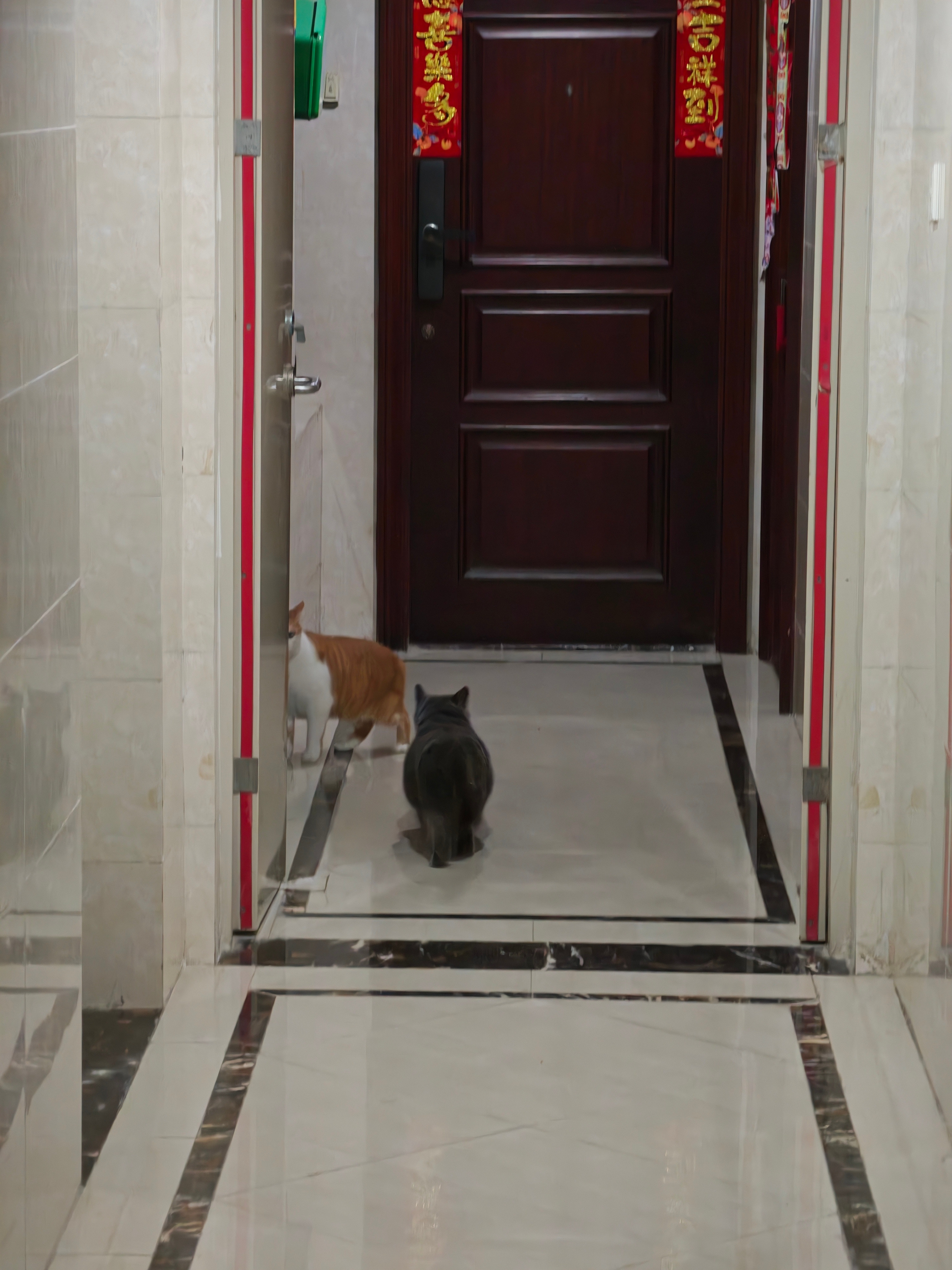 剪个指甲给我搞离家出走你行吗你