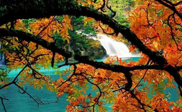 炒股本质就是买上市公司的一部分。如果只能用一个财务指标来判断的质地好坏，这个财务