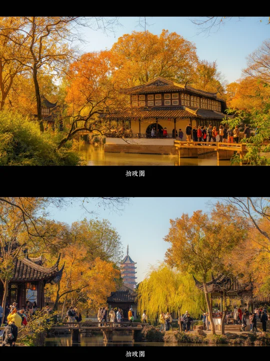 我发现了拙政园秋天的正确打开方式🎬