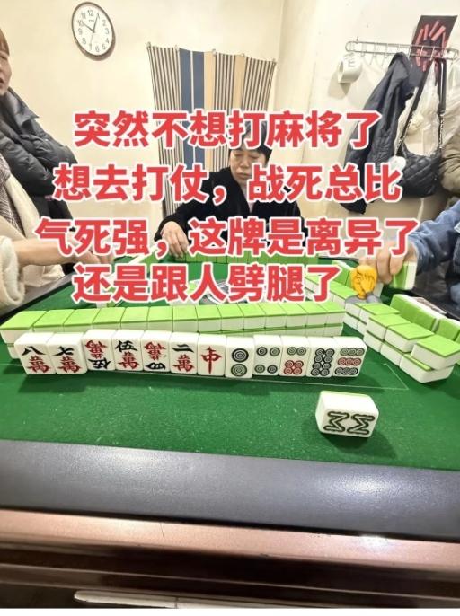 谁懂啊家人们！打麻将摸到这副牌，我当场想把桌子掀了！万子筒子各玩各的，一张对子都