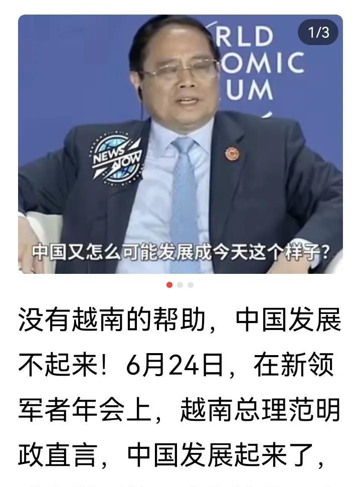 据百度AiV相关媒体消息，越南总理在有关会议上直言“如果没有亚洲合作伙伴的存在，