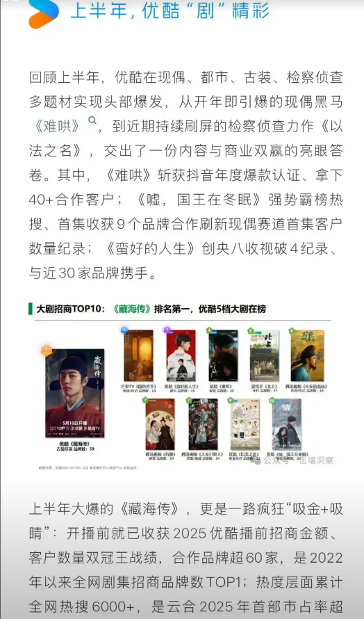 优酷认证2025上半年吸金项目总共有5部剧集是赚钱的！第一部《难哄》：开