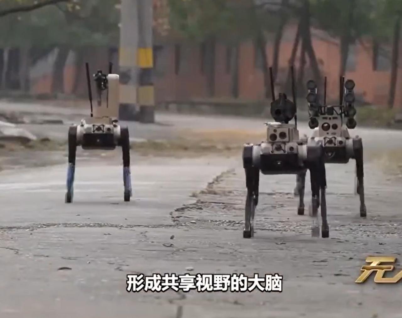 看到机器狼背着191步枪、榴弹枪、微型导弹，我点赞了。看到机器狼组成三三制队