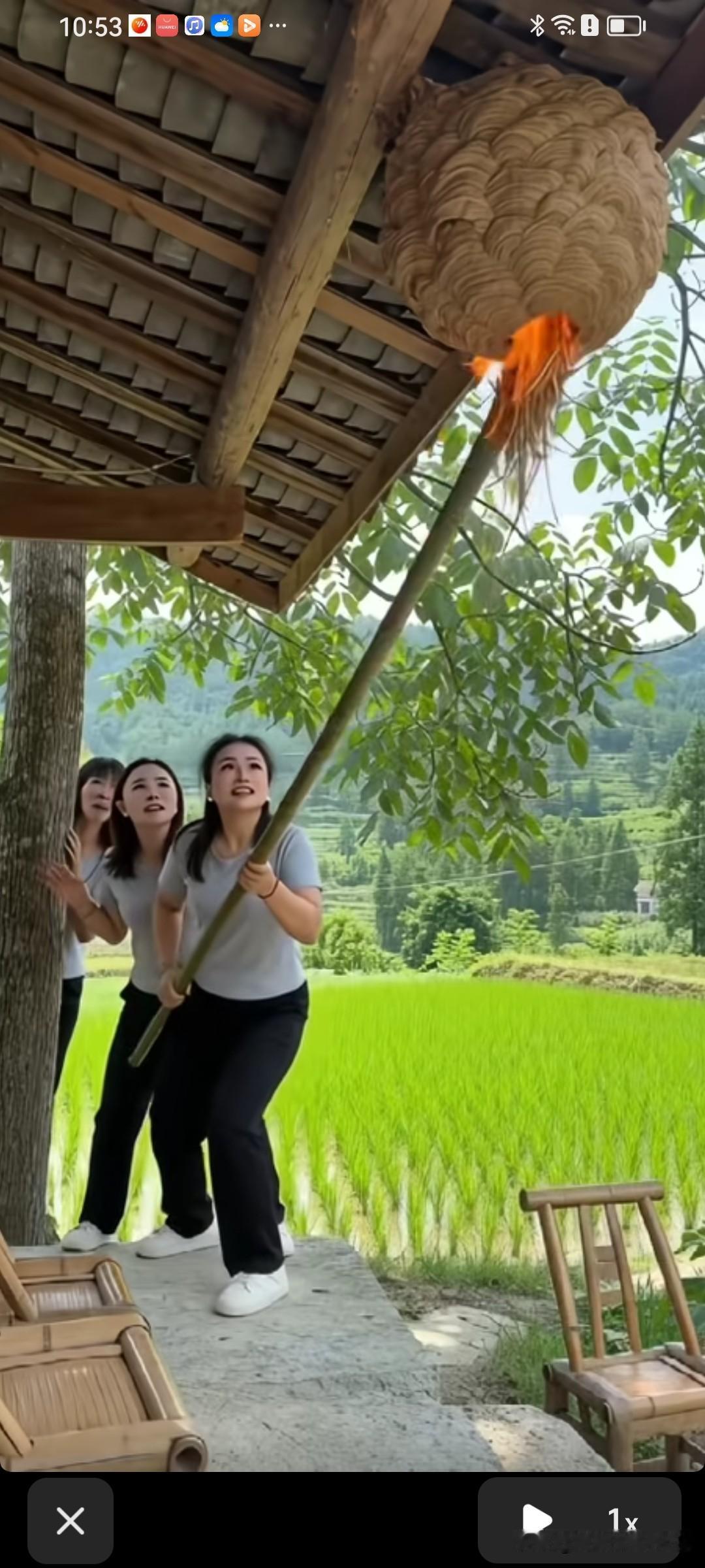 三位农村女青年捅马蜂窝这事儿，实在是让人既觉得好笑又不禁后怕。她们可真是大胆，捅