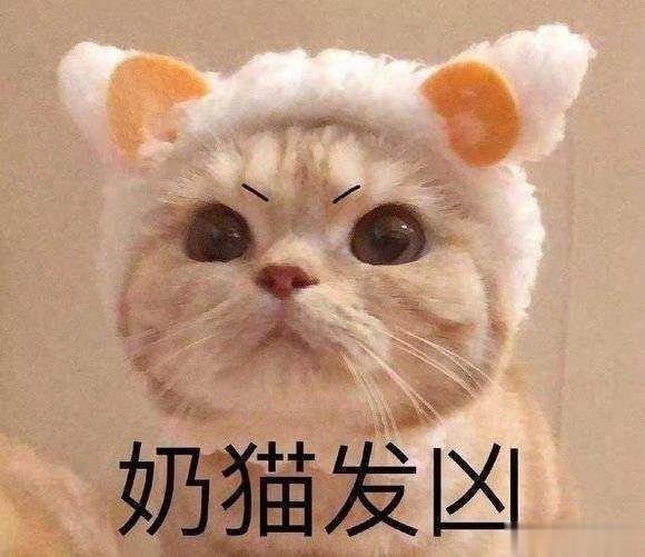 如何看透对方的心理？1、朋友圈发身材照的人多半是渣。2、经常不化妆的人，一般都有