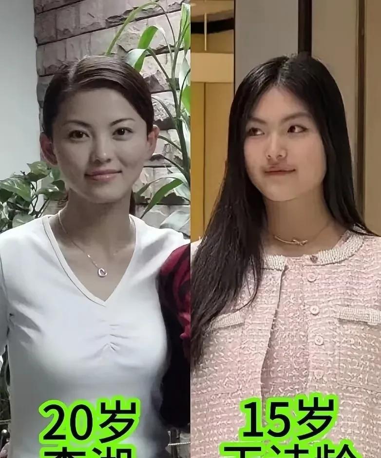 客观的讲，单就相貌而言，王诗龄比她的母亲李湘差远了。李湘年轻的时候，五官精致，