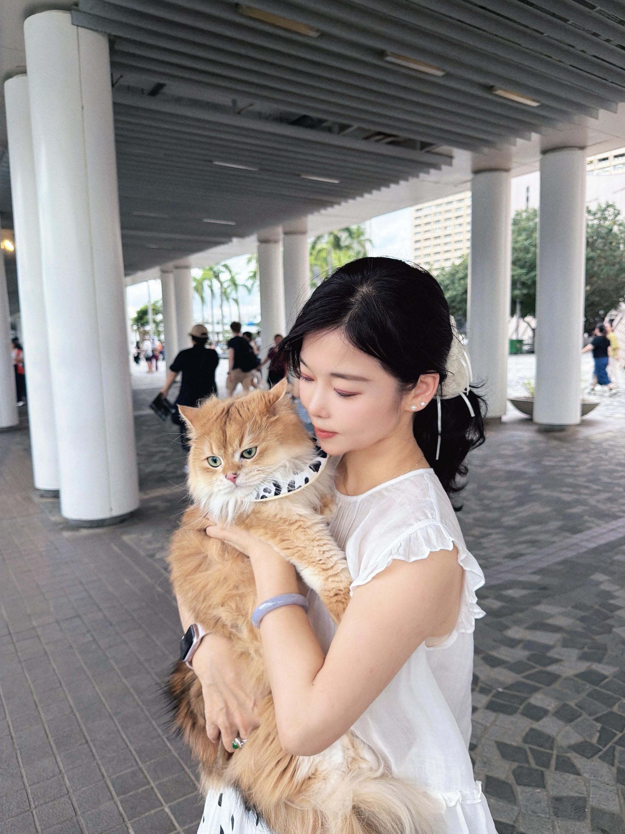 人类需要猫咪 与喵邂逅