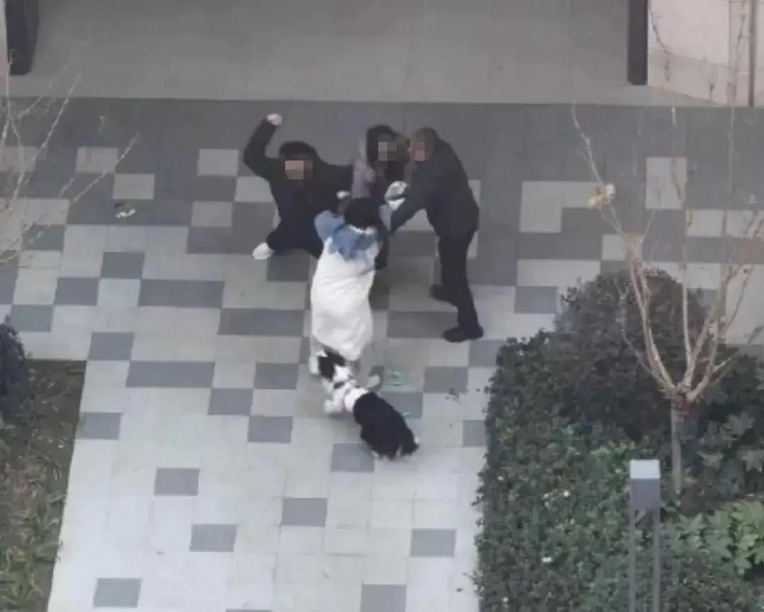 怒不可遏！1月21日17:33上海消息，1月18日15时许普陀区皋兰山路某小区