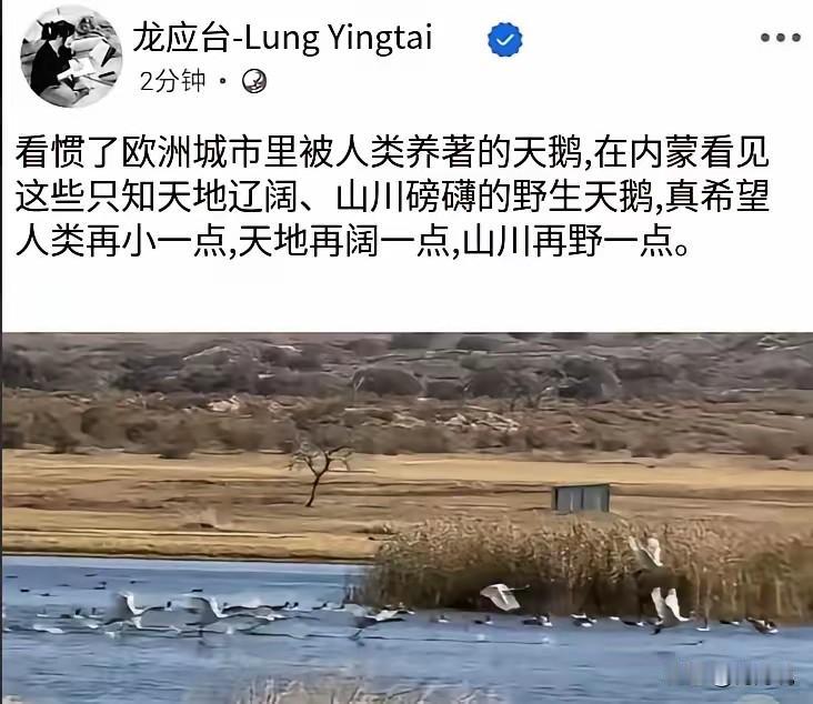 我觉得，龙应台怎么能这么残忍？意大利和法国的小偷正在挨饿，很快又要进入寒冬。