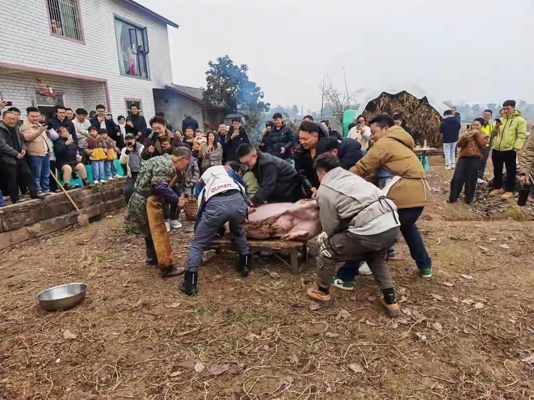 呆呆姑娘：大伙能别来就别来了，我扛不住了！合川文旅：不，你扛得住，你也必须扛得住