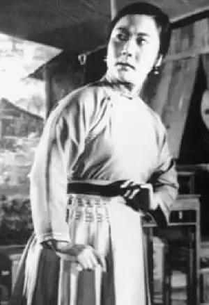 正本清源：赵燕侠与“旗手”的二三事1964年夏，全国京剧现代戏在京观摩汇演，