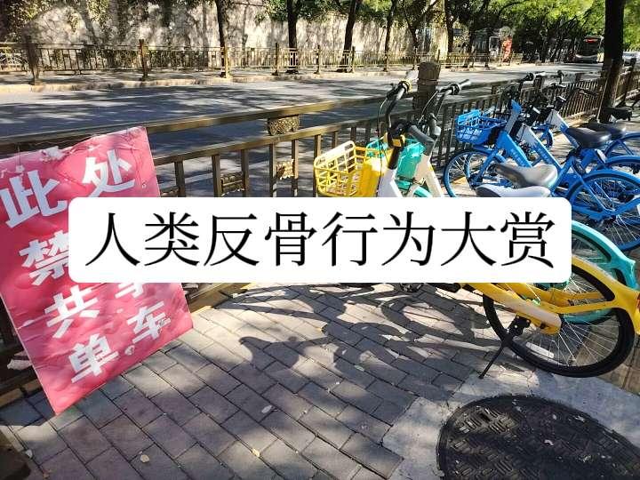 北京人在反骨这块还是有点权威的