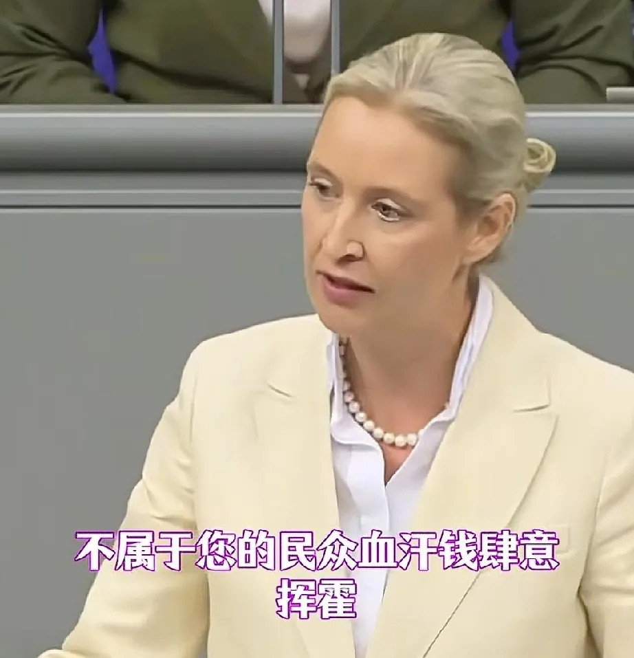 “魏德尔终于揪住了墨茨错处，墨茨恐遭德民抗议，清算才刚刚开始！”一味损害国民利