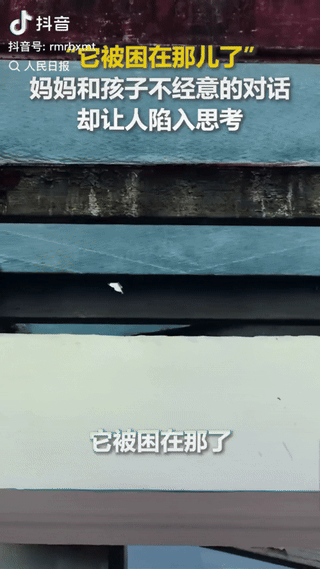 “当你无法向上的时候，就去四处走走！”——被人民日报的转发的这条视频触动了。一位