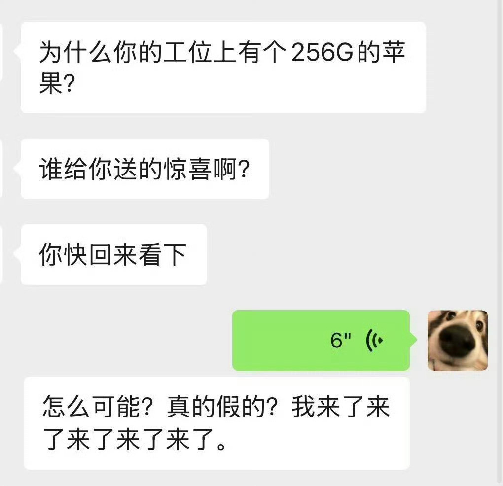 笑不活了，果然人在做坏事儿时候最有耐心工位上有个256g的苹果