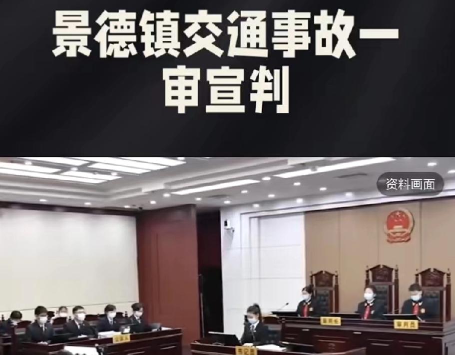 一家三口被马路“杀手”撞灭门，司机竟然只判死缓？爷爷含恨离世，小狗绝食随主而去