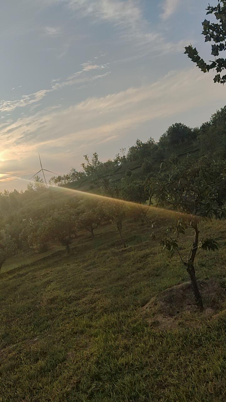 世上没有轻松的工作——前几天，有个亲戚在酒店打工，整理客房卫生。我想着，这活不