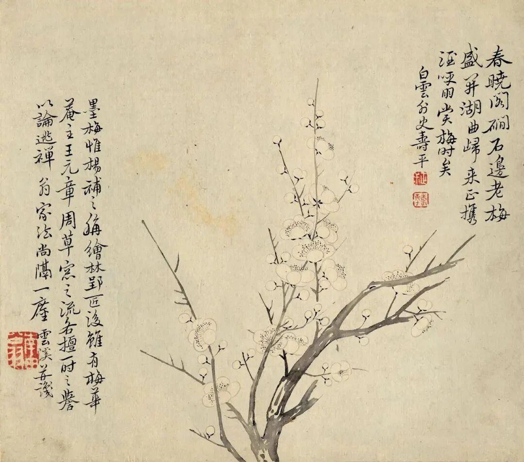 恽寿平《花果秋艳册》：把秋天的甜，画进册页里翻开恽寿平的《花果秋艳册》，