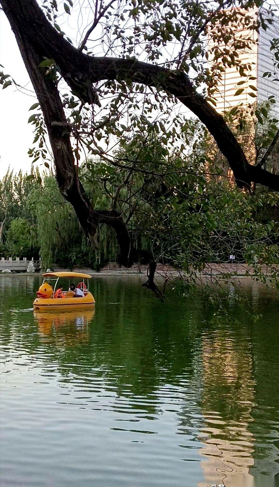 傍晚正在小区遛弯，一个电话打进来，本地派出所。对方没绕弯子：“反诈中心预警到你
