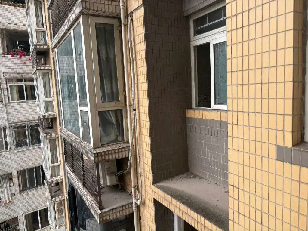 男子疑遭妻子家暴后跳楼警方不立案，这起案件你怎么看？总结：一对从校园走到一起的夫