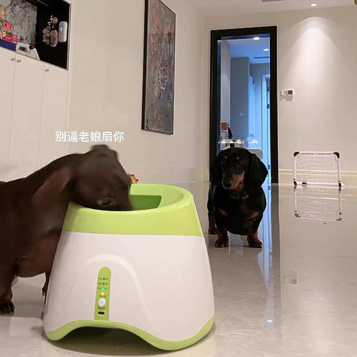 哈哈哈哈哈哈哈哈哈哈哈哈哈哈哈哈哈哈哈哈哈哈哈哈哈哈哈哈坏点子坐在那里好憨厚老实