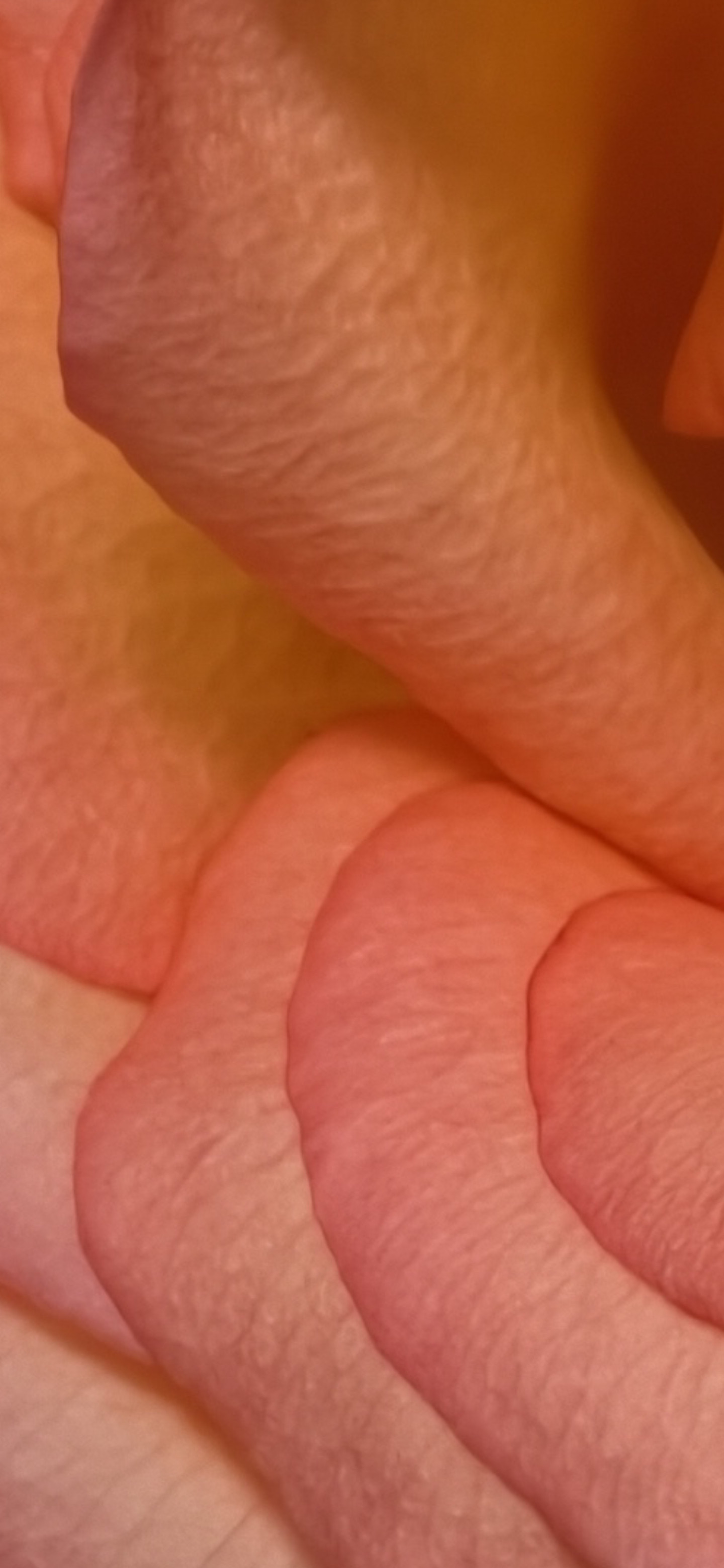 vivoX300Pro默认鲜明模式，VivoX300Pro自然模式+