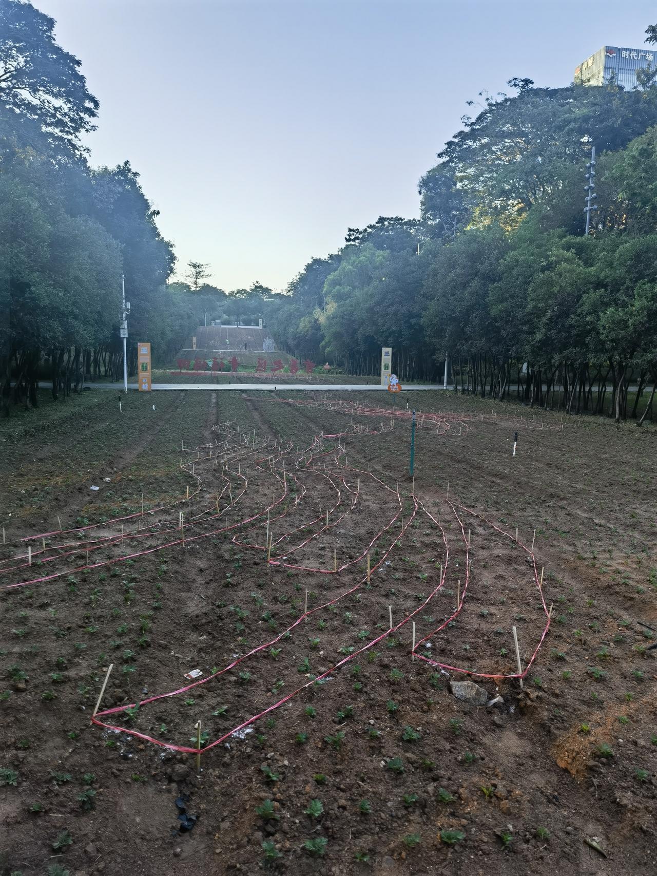 房地产公司还可能活下来吗？最近房地产市场可谓“几家欢喜几家愁”。五矿地产的未来