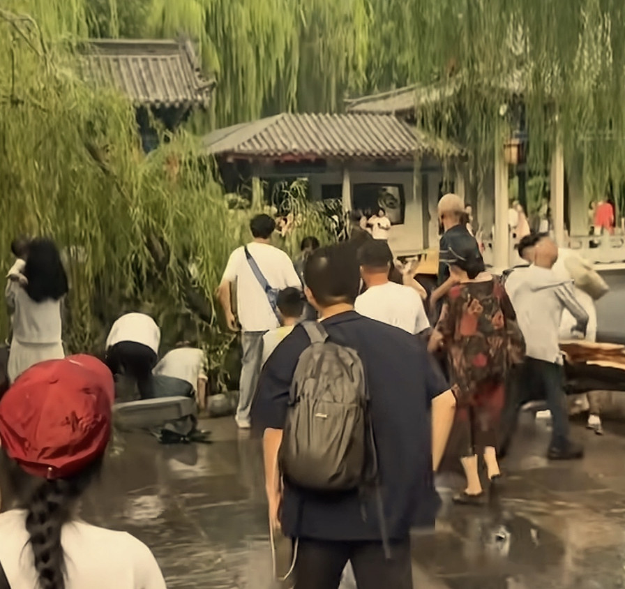 #趵突泉游客被断枝砸伤#【济南趵突泉公园柳树折断致8人受伤！当地曾发布雷电黄色预