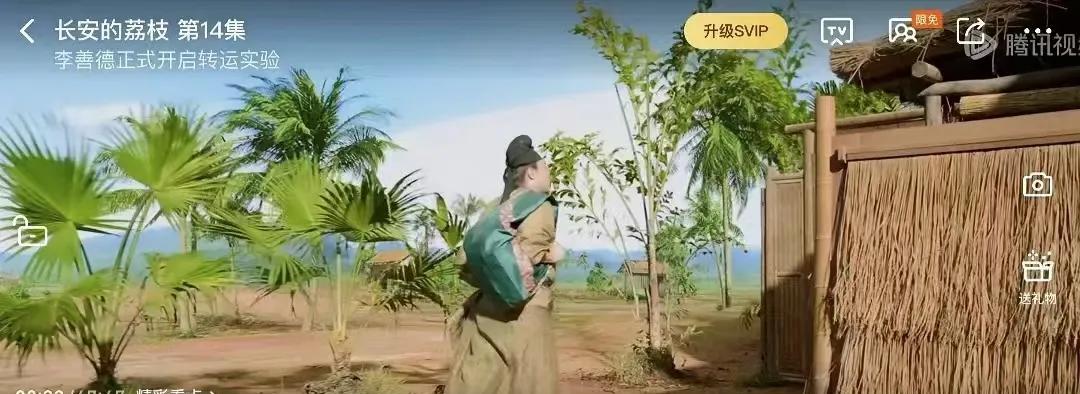 看《长安的荔枝》有种穿越玩和平精英的感觉，确实是大制作高质感，就像游戏出了张新地