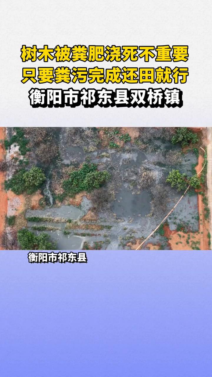 树木被粪肥浇死不重要，只要粪污完成还田就行。衡阳市祁东县双桥镇洋湖村某生态园打