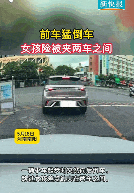 这驾照咋考的？5月19日，河南南阳，司机等红灯时竟挂着倒挡，绿灯一亮，1脚油门干