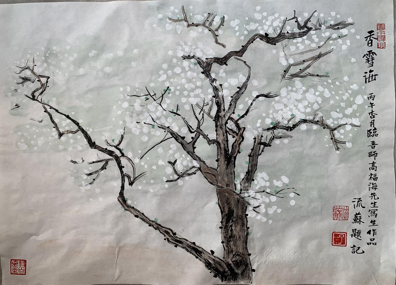 国画小写意国画国画梨花香雪海