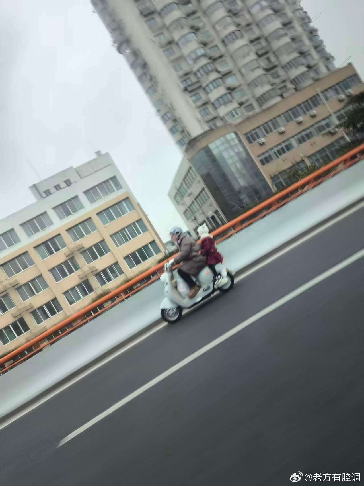 摊上这种父母真的倒霉！越南