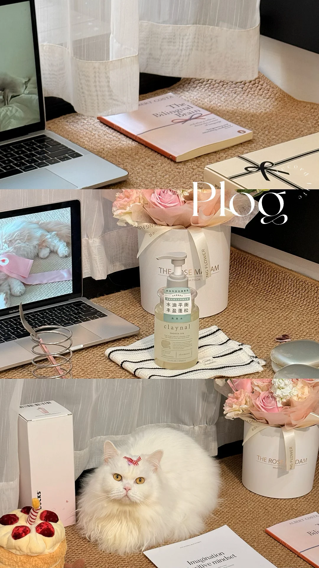 My life|晚间护发日常💇‍♀️